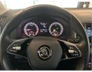 Cataldo Auto, concessionaria multimarca, Audi, Fiat, Seat, Jeep, Volkswagen e Alfa Romeo a Marina di Gioiosa