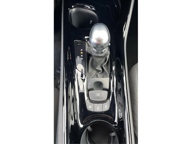 Cataldo Auto, concessionaria multimarca, Audi, Fiat, Seat, Jeep, Volkswagen e Alfa Romeo a Marina di Gioiosa