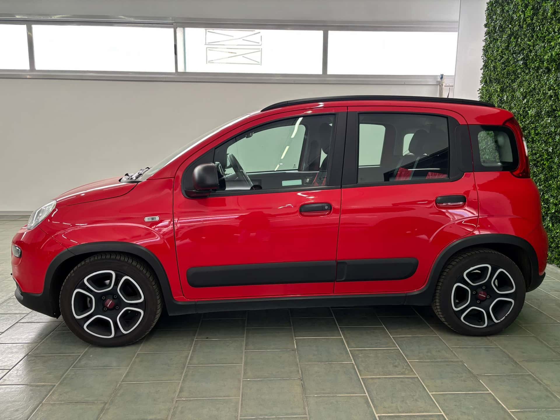 Fiat Panda III 2021 1.0 firefly hybrid  - Immagine 2