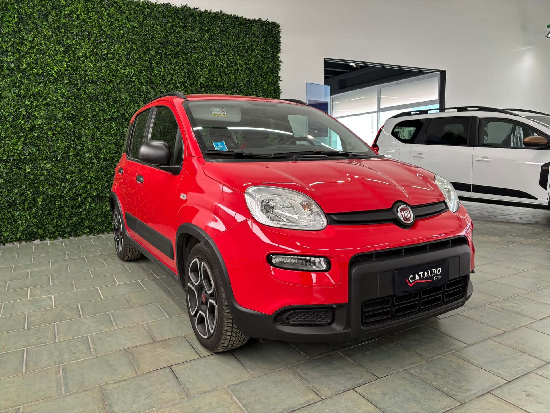 Fiat Panda III 2021 1.0 firefly hybrid  - Immagine 7