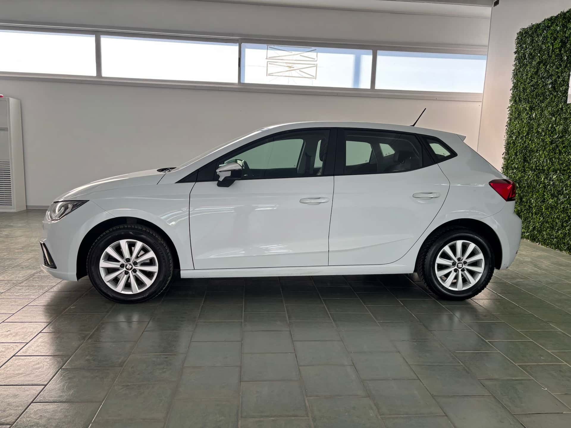 SEAT Ibiza V 2017 1.6 tdi Business 95cv - Immagine 2