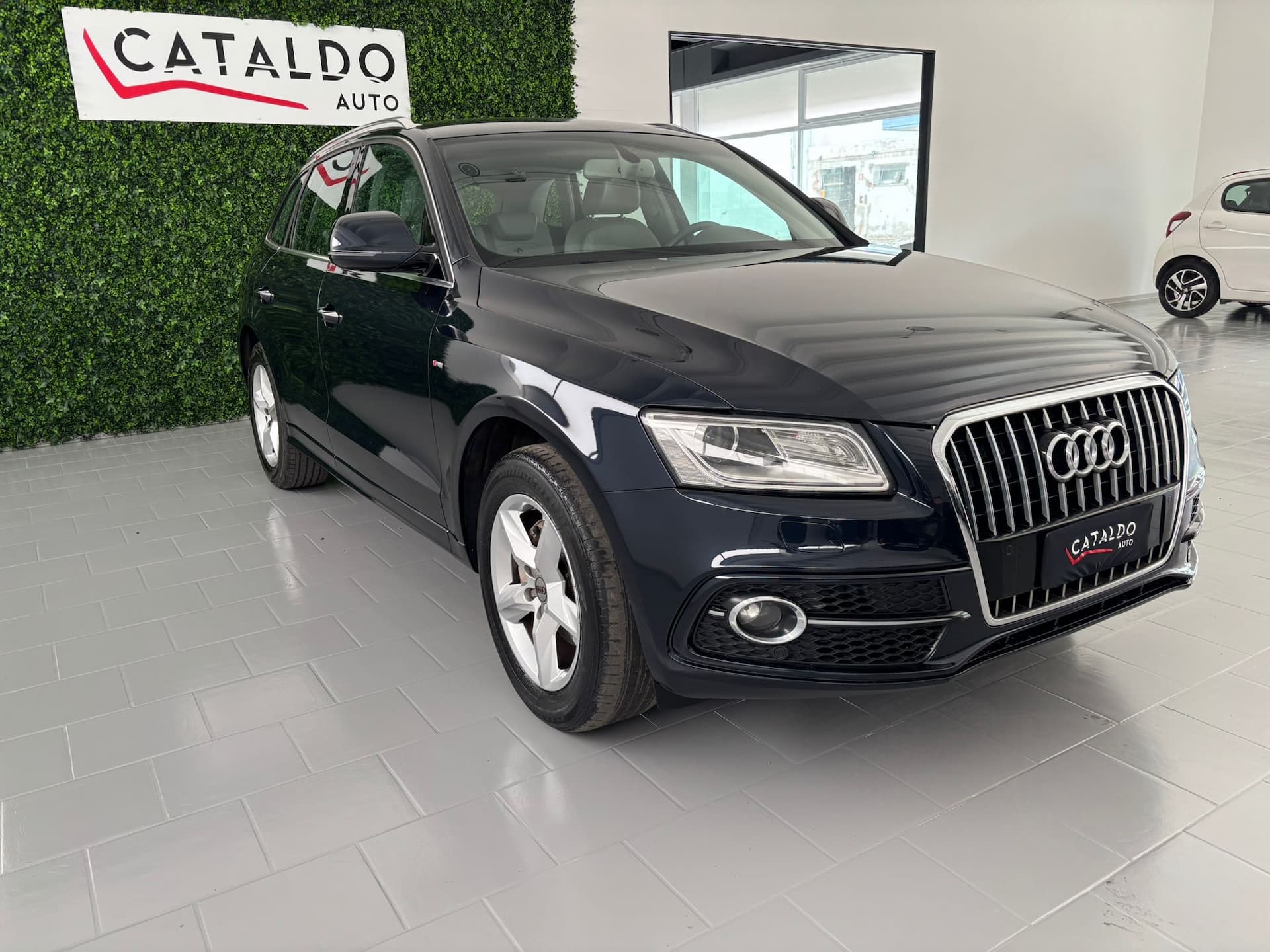 Audi Q5 2013 2.0 tdi ultra Advanced Plus 150cv  - Miniatura 7