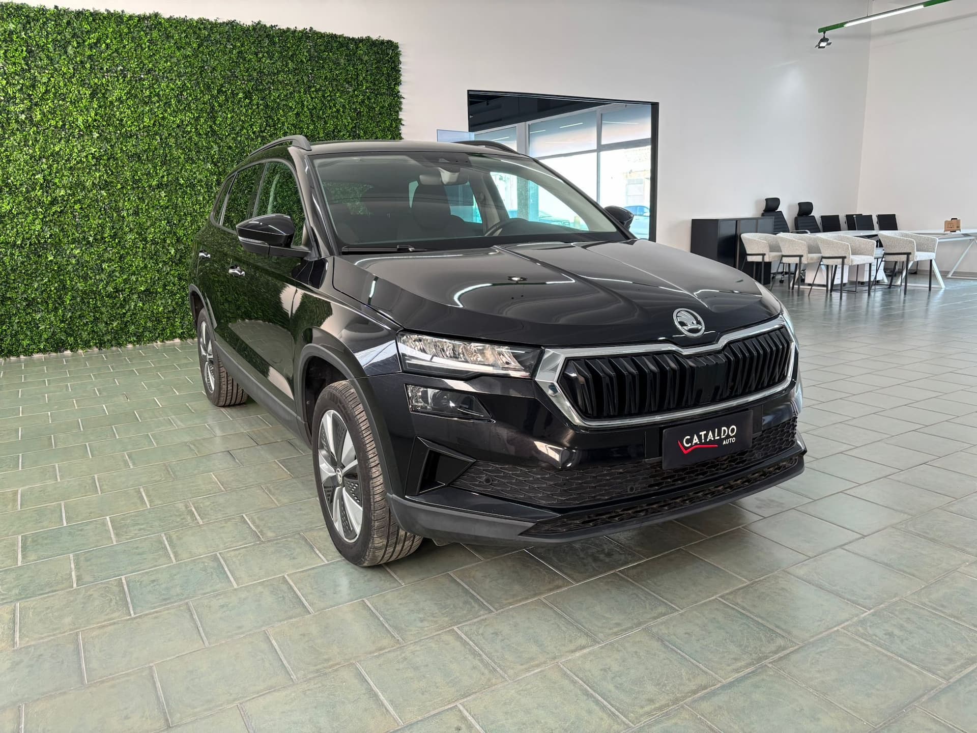 Skoda Karoq 2.0 tdi evo Executive 115cv dsg - Image 7